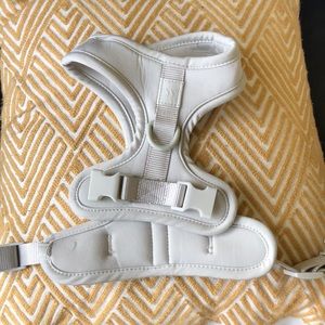 Wild One Small light gray comfort dog harness
